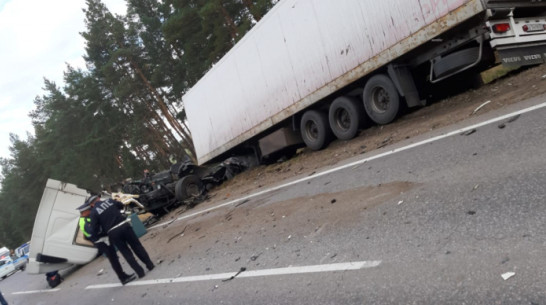 На воронежской трассе в ДТП с легковушкой и грузовиком погибли 2 человека