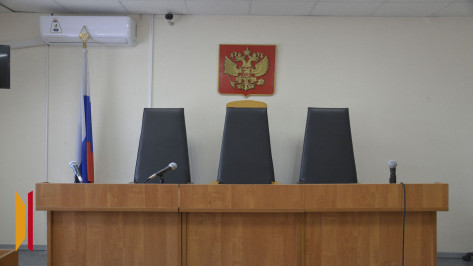 Воронежские судьи смогут отметить профессиональный праздник 5 ноября