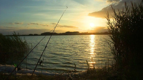 Жителям Воронежской области запретят ловить рыбу в реке Дон с 20 апреля