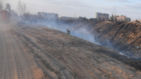 Спасатели потушили ландшафтный пожар на окраине Воронежа