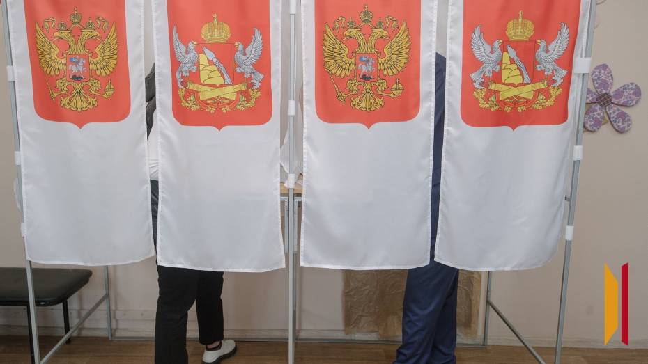 В Воронежской области в сентябре 2026 года пройдет 16 избирательных кампаний
