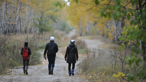 Воронежцы нашли на прогулке в лесу ручную гранату