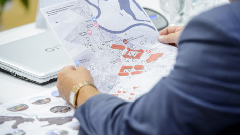 Крепость и смотровые площадки предложили построить в воронежских «Костенках»