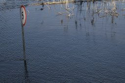 Затопление двух низководных мостов спрогнозировали в Воронежской области