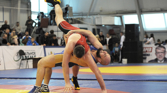 Всероссийский турнир по вольной борьбе пройдет в Воронеже 5 октября
