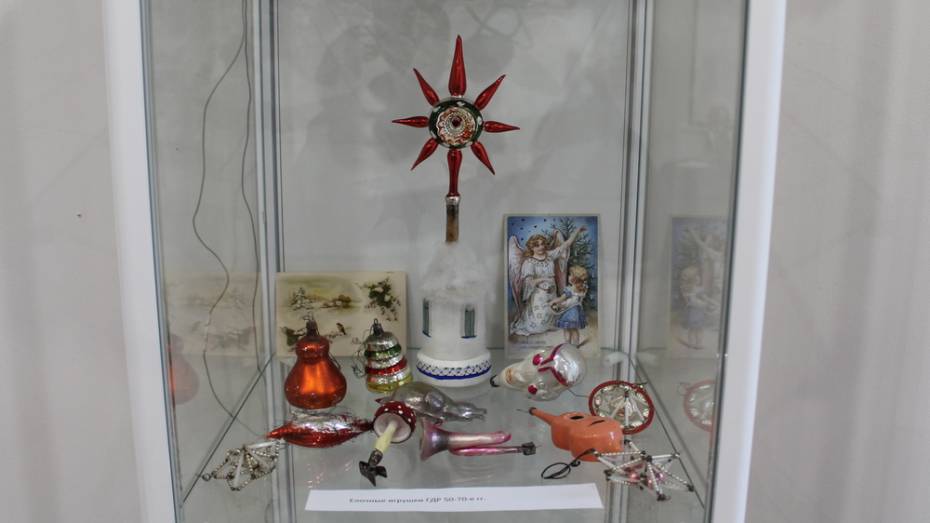 В Хохольском районе открылась выставка редких новогодних игрушек советского времени 