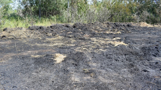 В Борисоглебске сгорели завезенные для всероссийского фестиваля 50 тюков соломы