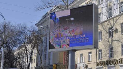 Воронежские компании проигнорировали почти половину лотов «рекламного» тендера 
