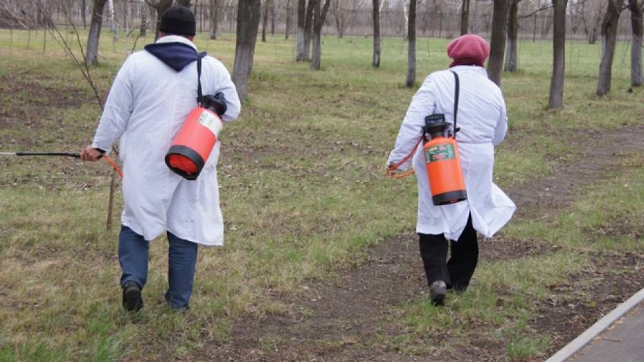 В Новохоперском районе на борьбу с комарами выделено 135 тысяч рублей