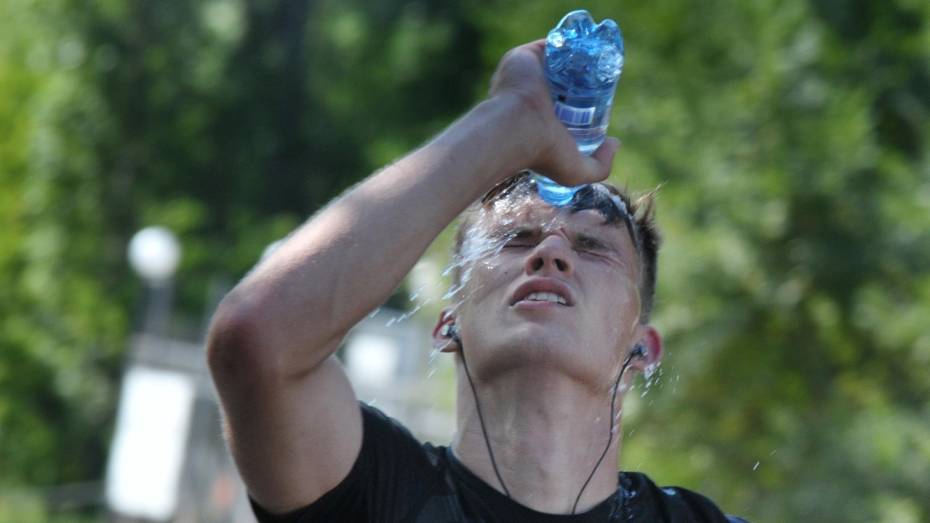 Сильнейшая жара накроет Воронежскую область в выходные