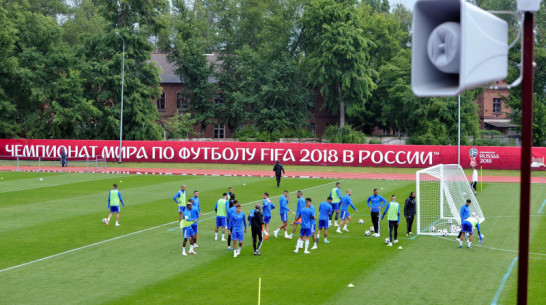 Наследие ЧМ и олимпийское «золото». Каким 2018 год запомнится воронежским болельщикам