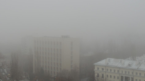 В Воронежской области ввели желтый уровень погодной опасности из-за тумана