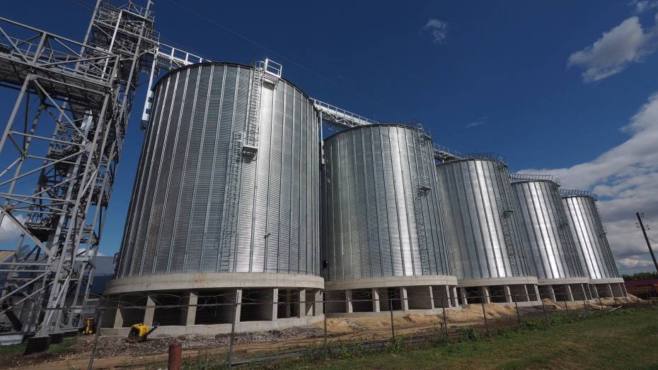 ГК «Продимекс» открыла модернизированный участок Тулиновского элеватора в Воронежской области