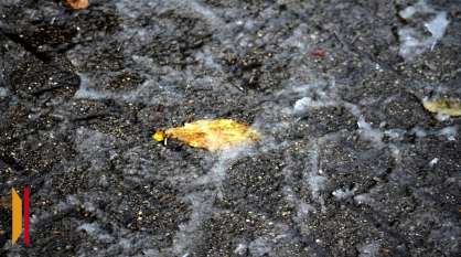 Стало известно, придет ли в Воронежскую область новый снежный циклон, накрывший Москву