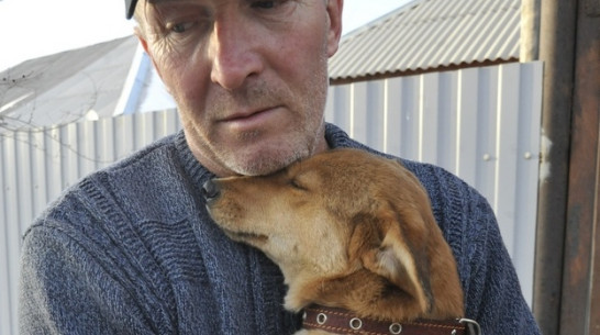Воронежский зоозащитник Юрий Шамарин: «Мы готовы помочь собакам из приюта «Право на жизнь», который выселяют» 