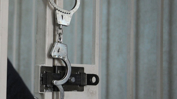 Павловские полицейские задержали виновника смертельного ДТП в аэропорту Домодедово