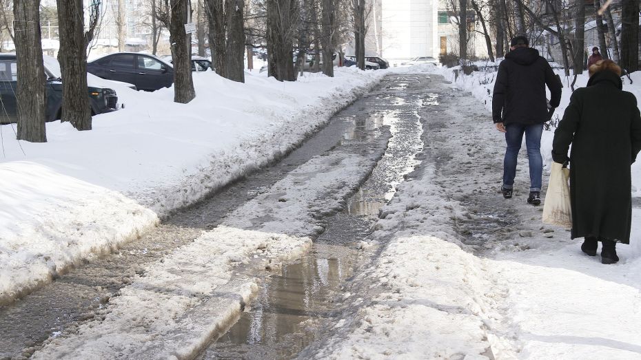 Мэрия Воронежа может создать собственное подразделение по очистке дворов от снега и льда