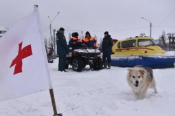 Инструкция РИА «Воронеж»: как спасти человека на льду водоема