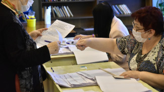 В Общественной палате подвели итоги досрочного голосования в Воронежской области 