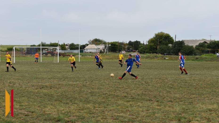 В ольховатской слободе Шапошниковка обустроили футбольное поле и спортплощадку