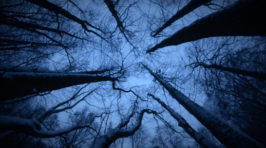 Пропавший 38-летний воронежец в темно-синей куртке найден мертвым