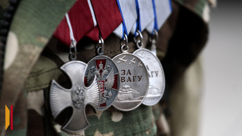 Количество пропавших без вести бойцов СВО сократилось в три раза