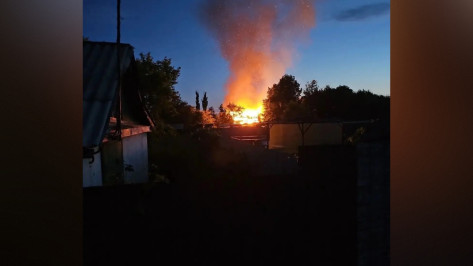 В ночь на 23 июня в воронежском СНТ «Ближние сады» сгорел дом: видео