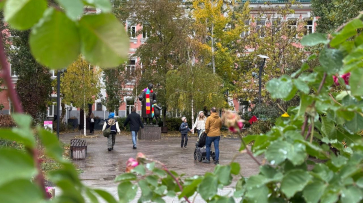 В Воронеже Самуил Маршак обзавелся ярким и теплым шарфом