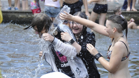 МЧС объявило штормовое предупреждение по жаре в Воронежской области
