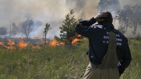 Один из трех масштабных природных пожаров локализовали в Воронежской области