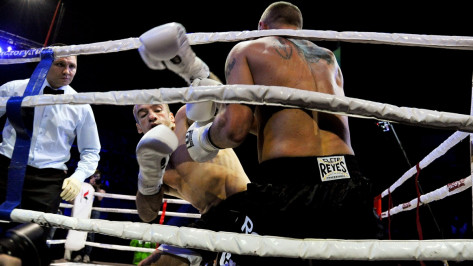 Два воронежских боксера победили на турнире Fights of the future