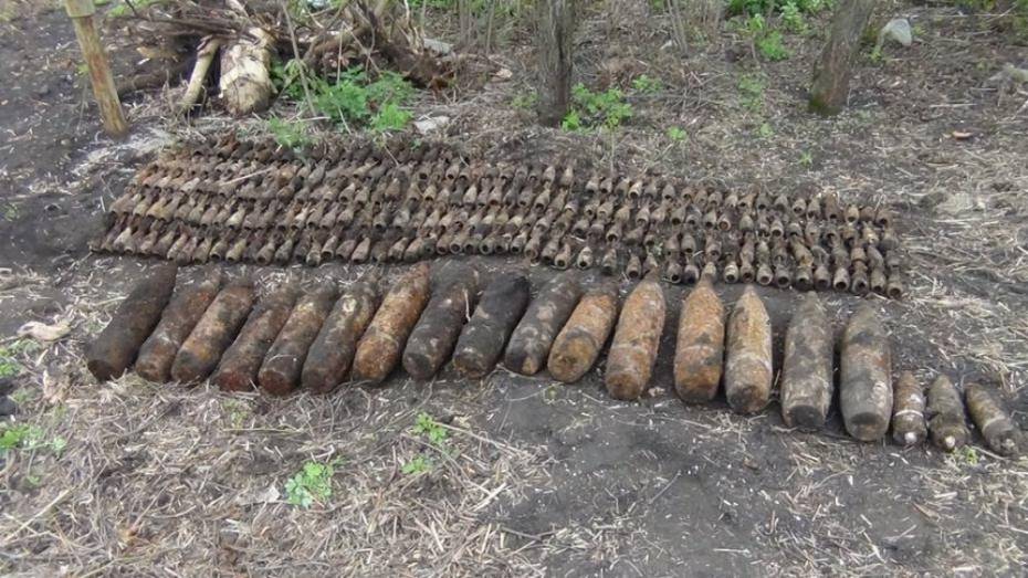 Воронежские спасатели уничтожили 167 боеприпасов под Рамонью
