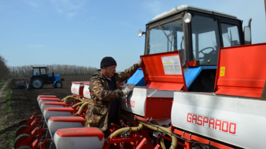 В Верхнемамонском районе аграрии планируют завершить сев ранних зерновых в выходные