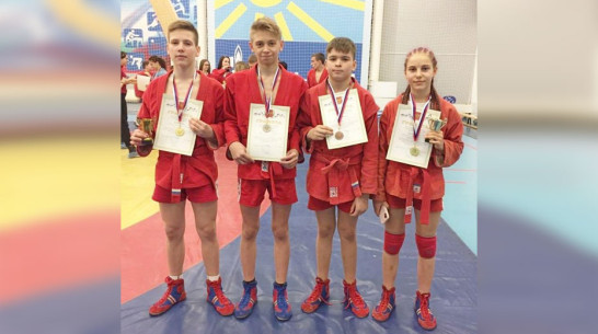 Таловские самбисты выиграли 5 золотых медалей на первенстве Семилукского района