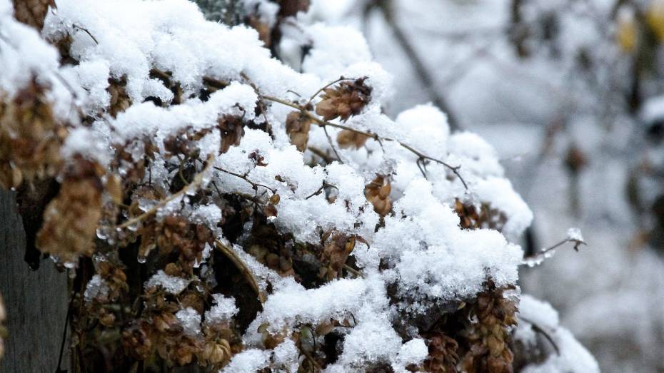 Синоптики предупредили воронежцев о резком ухудшении погоды и опасном мокром снеге