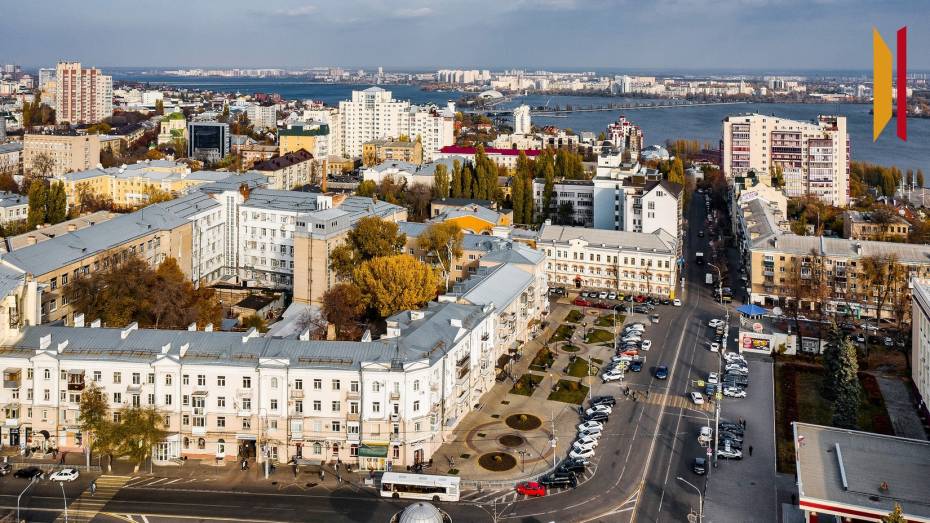 Бизнесмены с Ближнего Востока и из Африки готовы приехать в Воронеж для обсуждения совместных инвестиционных проектов