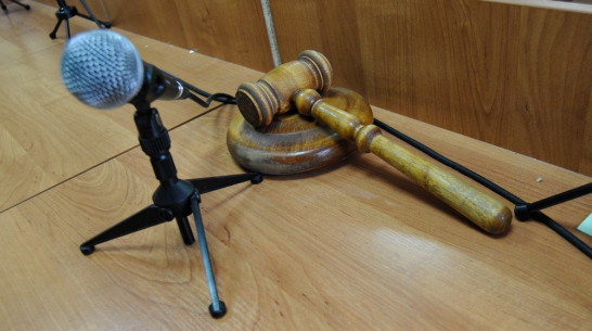 В суде под Воронежем 19-летний парень получил 6 лет тюрьмы за убийство брата 