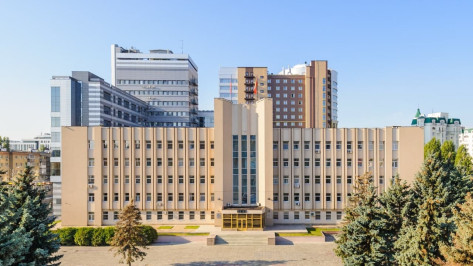 Дополнительные инвестиции в экономику Воронежской области составят почти 4,5 млрд рублей
