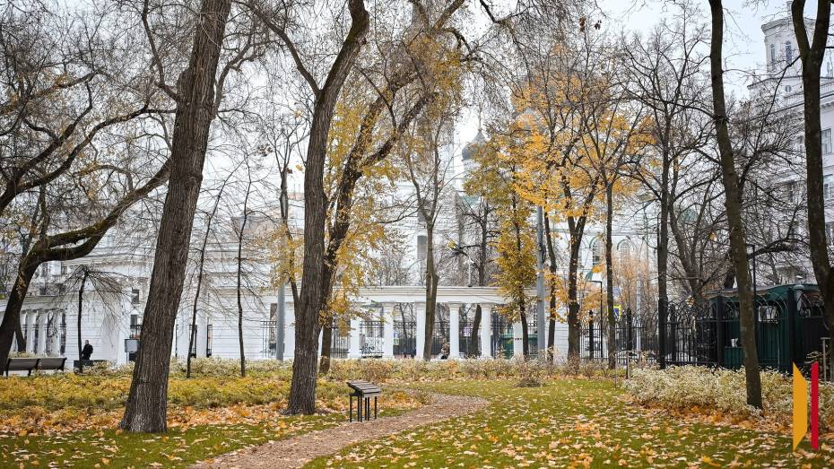 Итоги недели. Что важного произошло в Воронежской области с 29 сентября по 5 октября