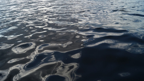 СК: родители утонувшей в пруду в Воронежской области 4-летней девочки были пьяны