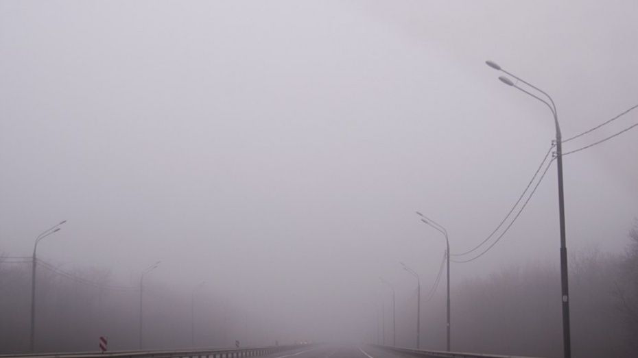 Дорожники предупредили воронежцев о тумане и гололедице