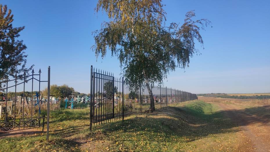 В грибановском селе Васильевка активисты заменили изгородь на кладбище
