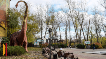 В городском парке Лисок обновили центральную зону отдыха