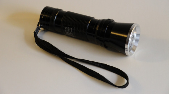 Пропавшего подростка из Мончегорска разыскивают в Воронежской области