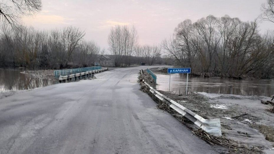 Движение по мостам через реку Карачан возобновили в Грибановском районе