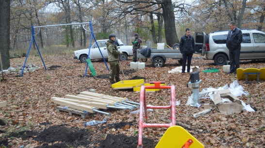 Терновские активисты сделают детскую площадку на опушке Савальского леса