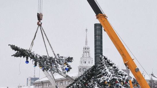 Антимонопольщики разморозили торги на установку главной елки Воронежа