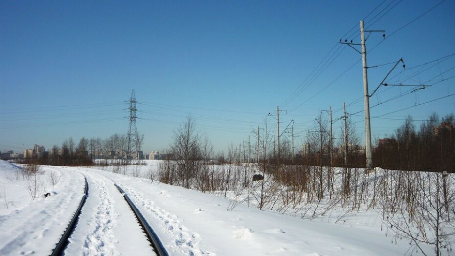 В Воронежской области отремонтируют 6 железнодорожных переездов 