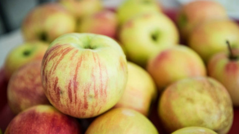 Верховный суд РФ отклонил претензии ООО «Атлант» на яблоневые сады в Воронеже