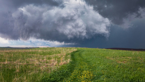 Шквалистый ветер и гроза ожидаются в Воронежской области 20 июня